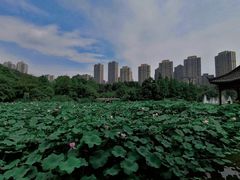 -龙头寺公园