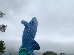 -珠海长隆海洋王国