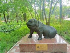 -黑龙江省森林植物园