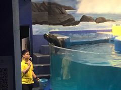 -梦幻海洋王国(吾悦广场张家港店)