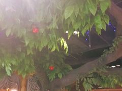 大堂-蕃茄述·好汤自然来(江汉路店)