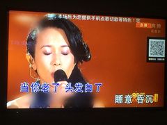 -金青果甄选KTV(劳动公园店)