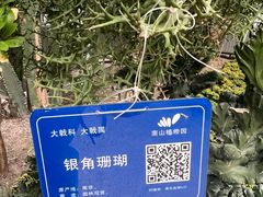 -南山植物园