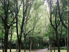 -高子水居
