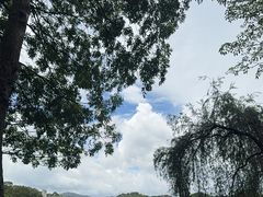 -东莞植物园