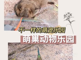 小朋友突然说好久没去动物园啦，就找了家小型的动物园