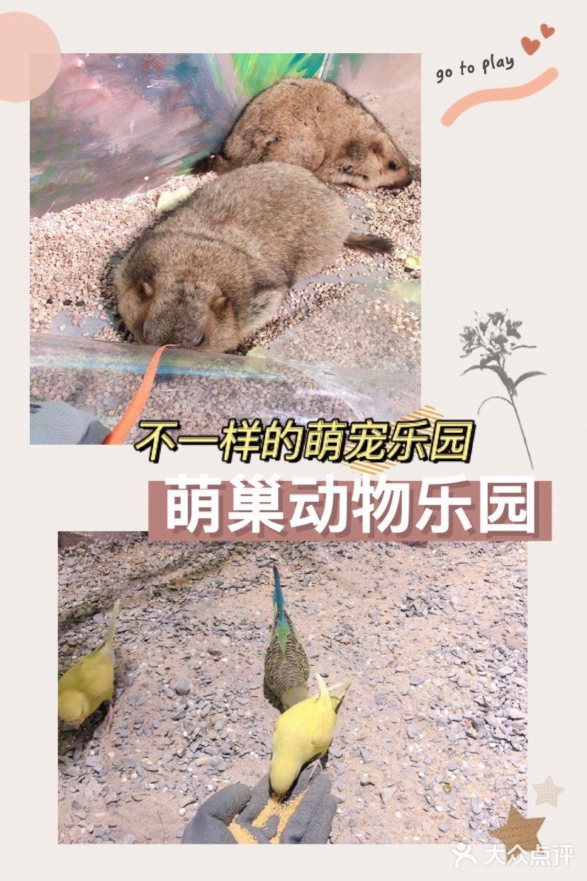 不一样的萌宠乐园[吐]