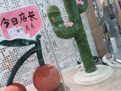 -BABIT巴比特宠物(MOMOPARK店)