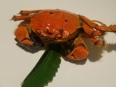 -苏小柳点心·手作小笼包(新街口分院店)