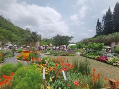 -深圳仙湖植物园