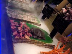 -SEA西雅图海鲜自助餐厅(正义店)