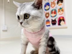 -宠颐生中康贝怡动物医院