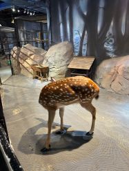 -酷嗒动物文化乐园(cutezoo西溪乐天城店)