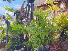 -自然餐厅(Phuket)