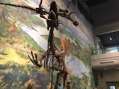 -自贡恐龙博物馆