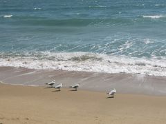 -海云台海滩