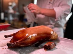 -秀儿四九城·新京菜(亚运村鸟巢店)