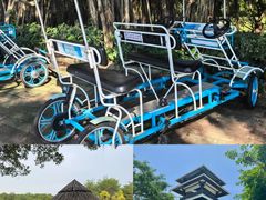 -大湾区中央湿地公园