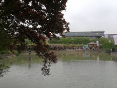 -嘉定紫藤园
