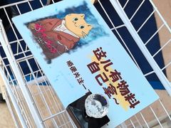 -哈尔滨大剧院