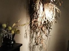-安屿an·spa(卓悦中心商场店)