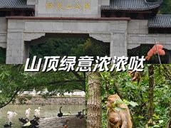-黔灵山公园