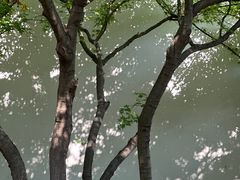 -江宁织造博物馆