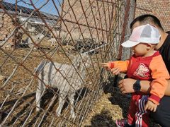 -包头市畅兴现代农业园