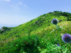 -白草畔自然风景区