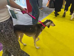 -萨莉亚意式餐厅(深圳北站店)