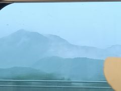 -长寿参鸡汤(朝韩风情街店)