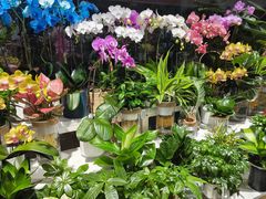 -怡花宜木鲜花店(朝阳路店)