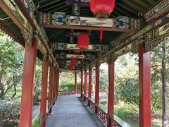 -迎泽公园