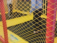 -不可思议减压馆·解压博物馆·摔碗发泄·团建定制