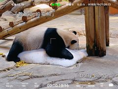 -广州长隆野生动物世界