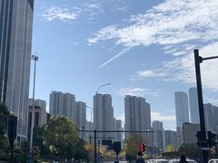 -盈丰路(地铁站)