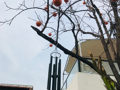 -素心小筑(后沙裕镇店)