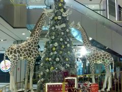 店内环境-远洋未来广场(育慧北路店)