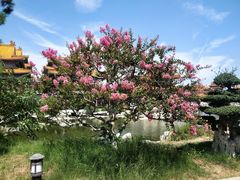 -威海华夏城景区