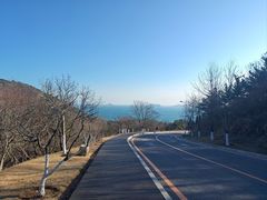 -棒棰岛宾馆景区