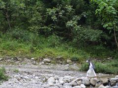 -鹿院坪生态旅游景区
