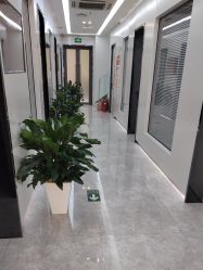 -悟空祛痘·诺奖技术专业店