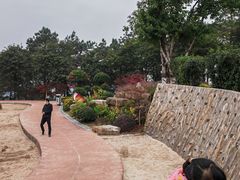 -铁山坪森林公园