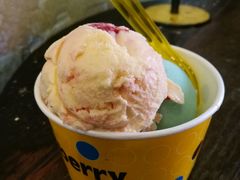 -莓园冰淇淋店