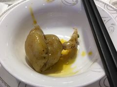 -新概念来凤鱼(璧山店)