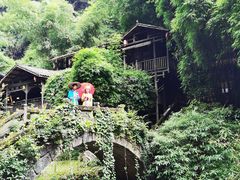 -三峡人家风景区