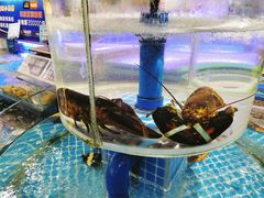 -海旺小海鲜大排档(冠亚星城店)