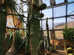 -北京植物园-展览温室
