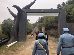 -大金山风景区