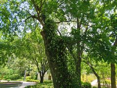 -双峰山国家森林公园-售票处